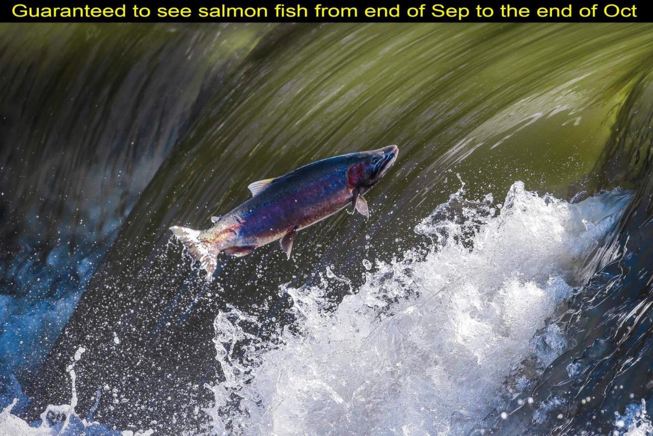 Salmon Magwood Guesthouse Toronto Luaran gambar